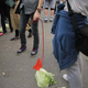 Illustration for article titled No, Chinas Depressed Youth Do Not Keep Cabbages As Pets